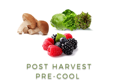 post Harvest Pre-cool